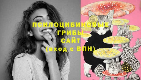 альфа пвп Слюдянка