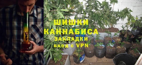 дурь Вяземский