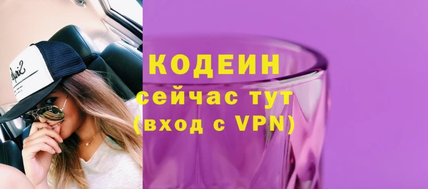 дурь Вяземский