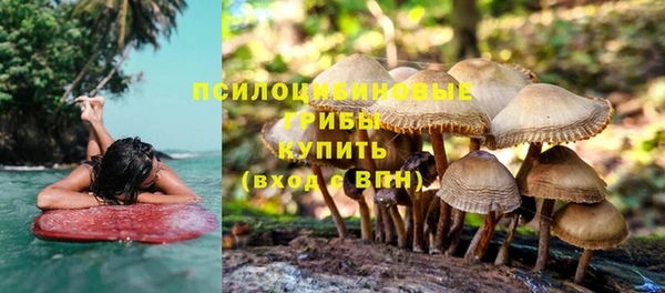 спайс Галич