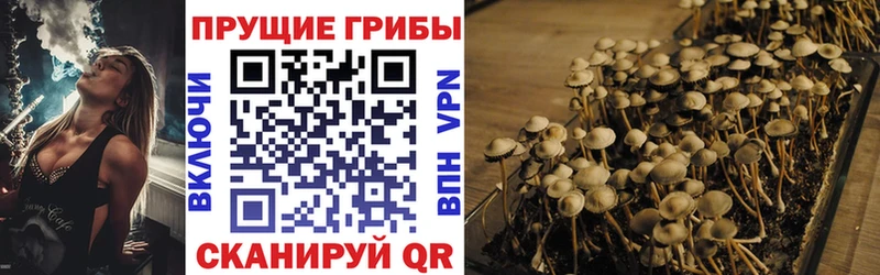Псилоцибиновые грибы мицелий  Горбатов 